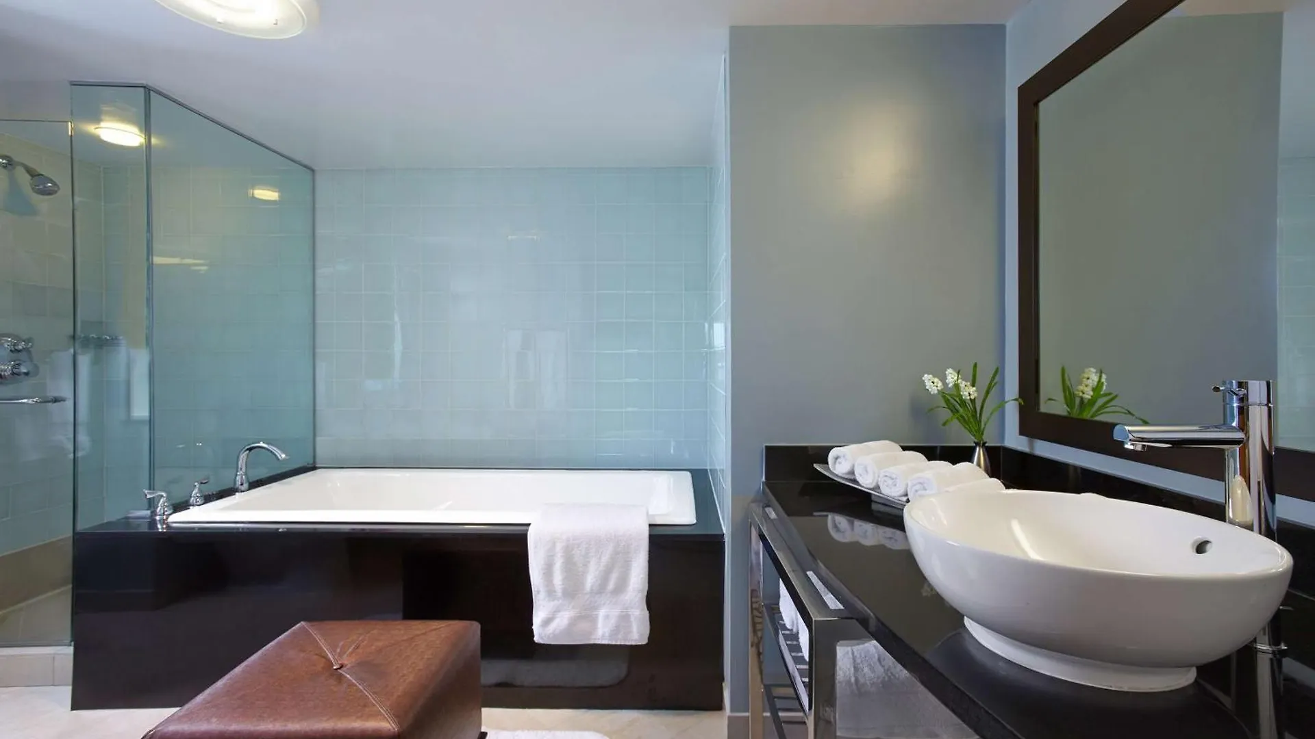 Hotel Hilton Club Nueva York Estados Unidos